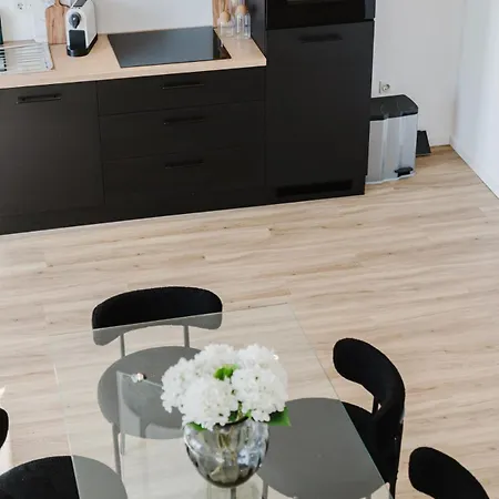 Apartment 2 Bedroom Penthouse Loft - Whirlpool - Terrasse - Wifi - Zentral - Kueche - Kaffee - Parkhaus